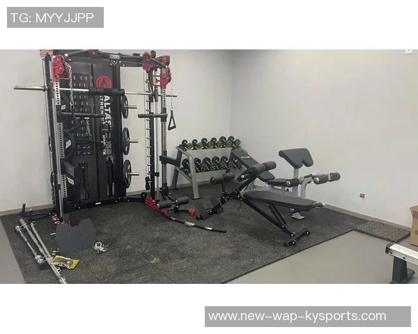 北京健身器材专卖店为您提供专业健身设备助力健康生活选择