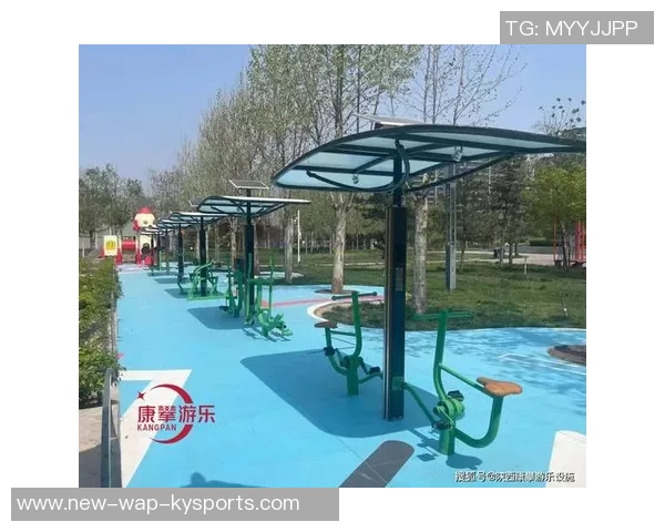 多功能户外健身器材图片展示助力健康生活方式的选择与体验